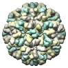 Norwalk Virus Capsid, 1ihm