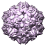 Porcine Parvovirus Capsid, 1k3v