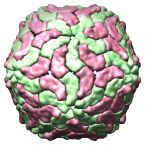 Rice Dwarf Virus inner layer, 1uf2_t2