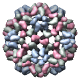 Cowpea Chlorotic Mottle Virus, Swollen Form (C), ccmv_swln_c