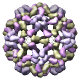 Cowpea Chlorotic Mottle Virus, Swollen Form (D), ccmv_swln_d