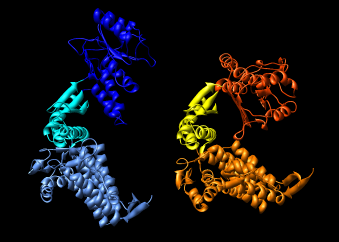 computer generated image