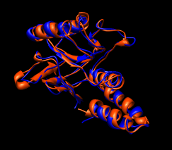 computer generated image