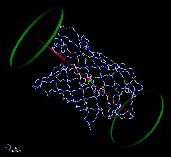 GFP with Centroid and Major Axis