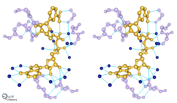 H-Bonds