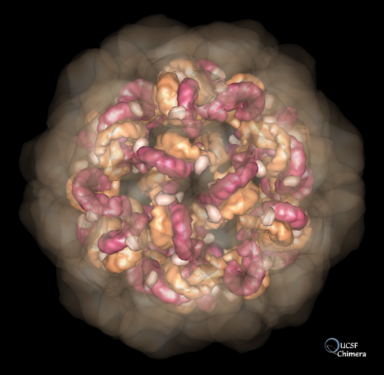 Satellite Tobacco Mosaic Virus