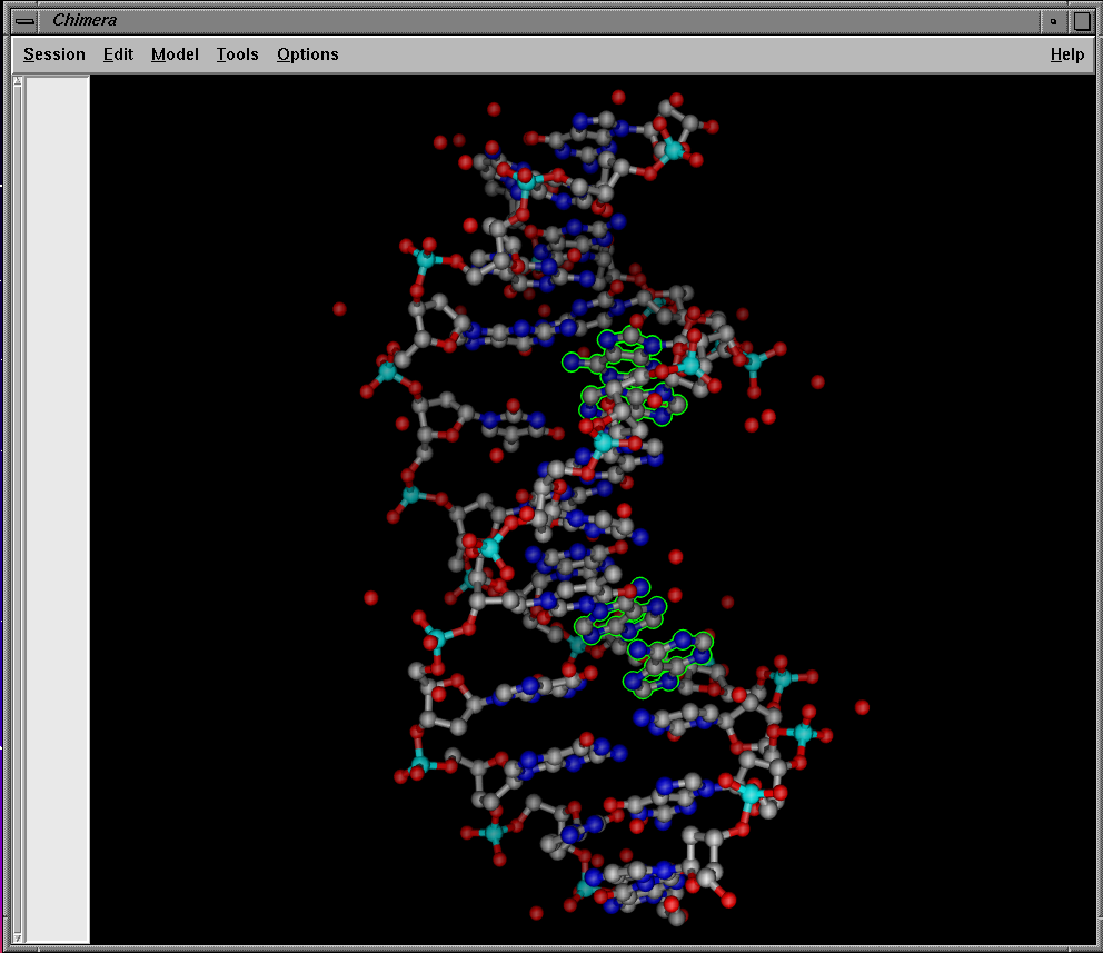DNA with adenosines selected