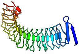 YopM (PDB 1g9u)