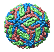 computer generated image