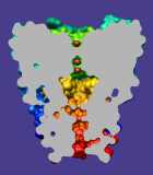 computer generated image