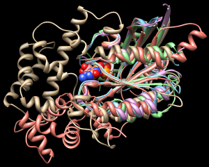 computer generated image