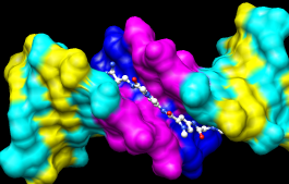 computer generated image