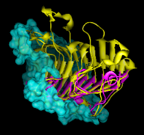 Per-Model Clipping example