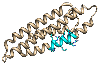 Ucsf Chimera Program Download