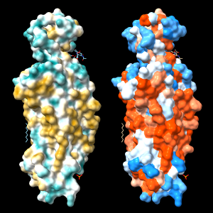 4xt3 MLP vs. kdHydrophobicity