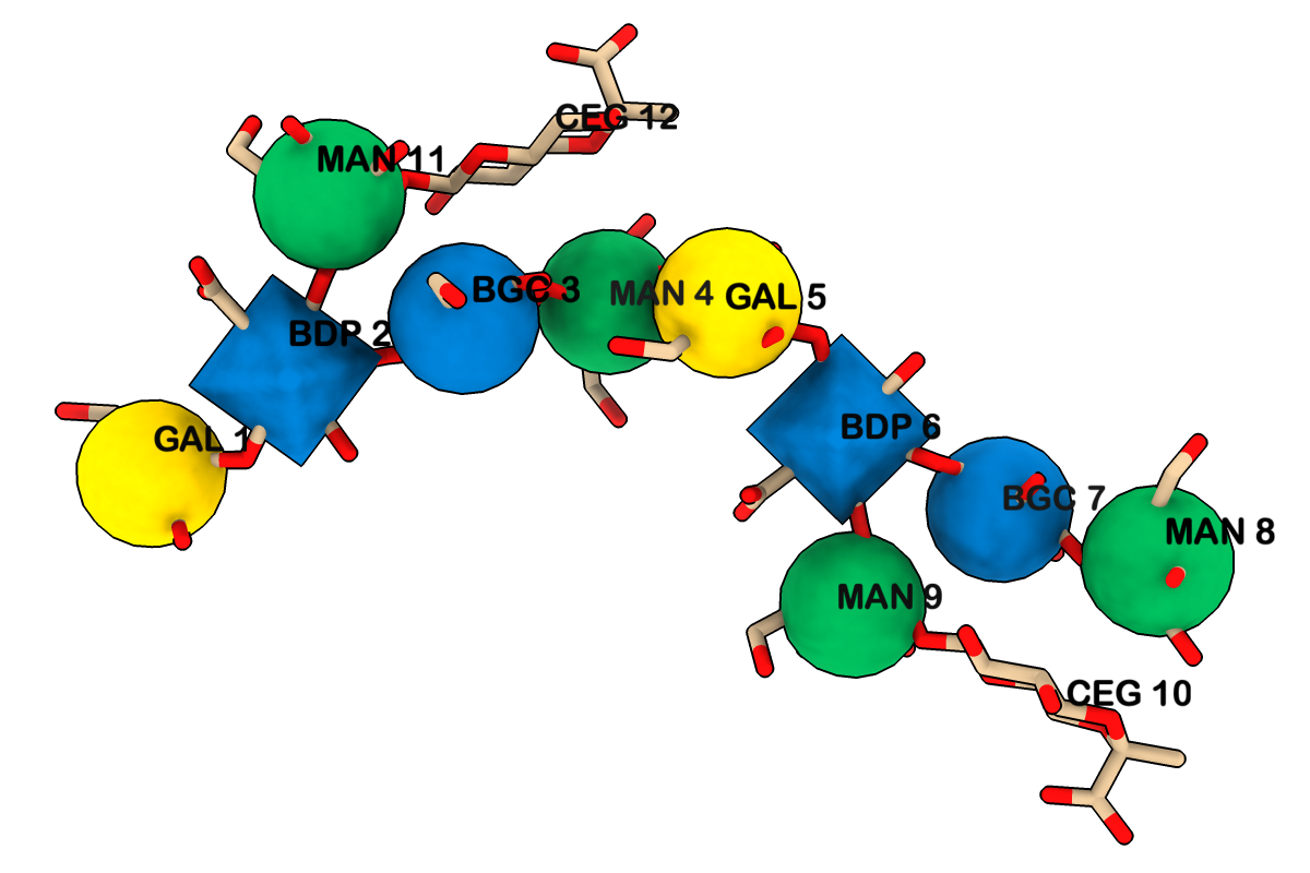 1cap 3D-SNFG representations