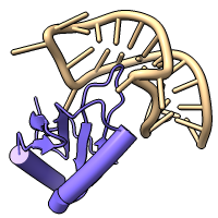 6cmn alpha-helix cylinders