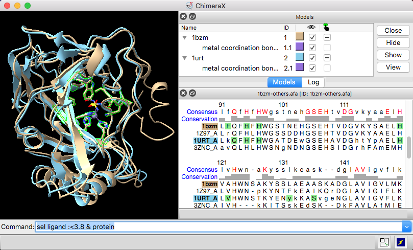 1bzm, 1urt, sequence alignment